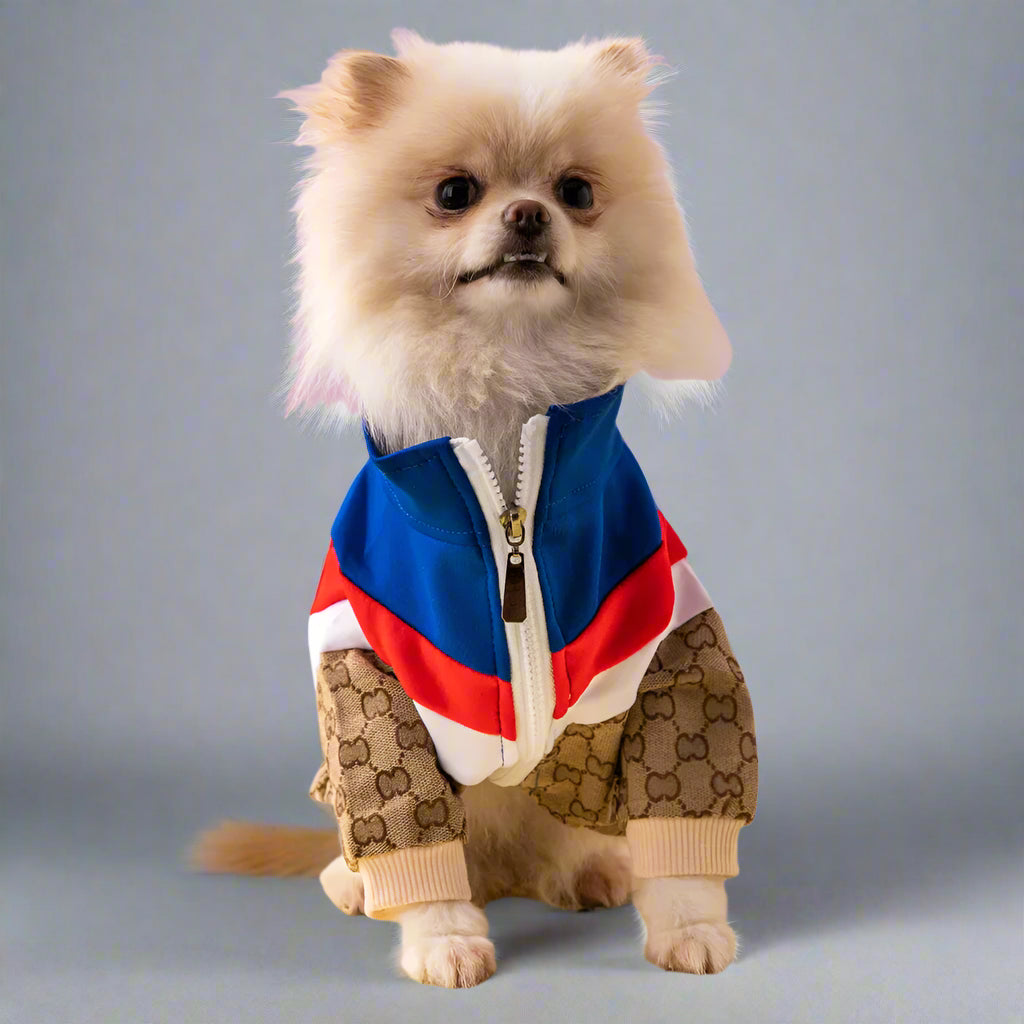 StreetPup Denim Jacket – Iconic Style for Trendy Pups