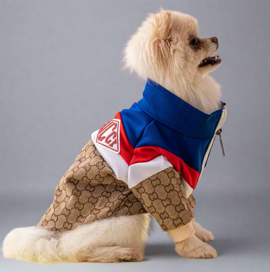 StreetPup Denim Jacket – Iconic Style for Trendy Pups